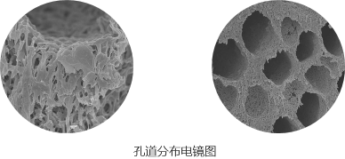 008PG国际(中国区)-官方网站